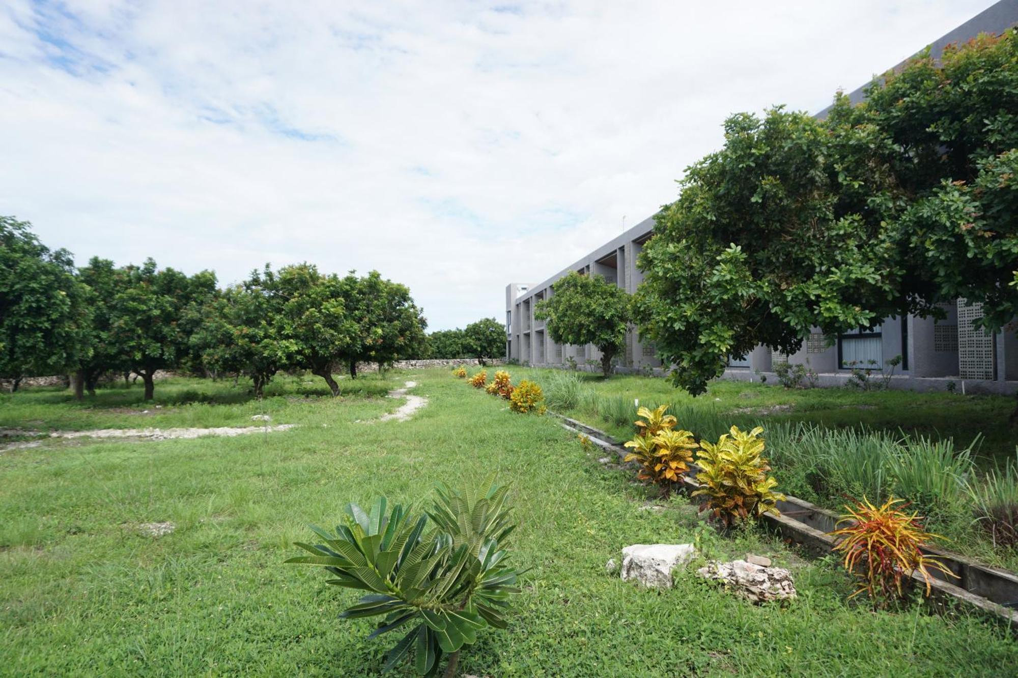 Kambaniru Beach Hotel&Resort Waingapu Exterior foto
